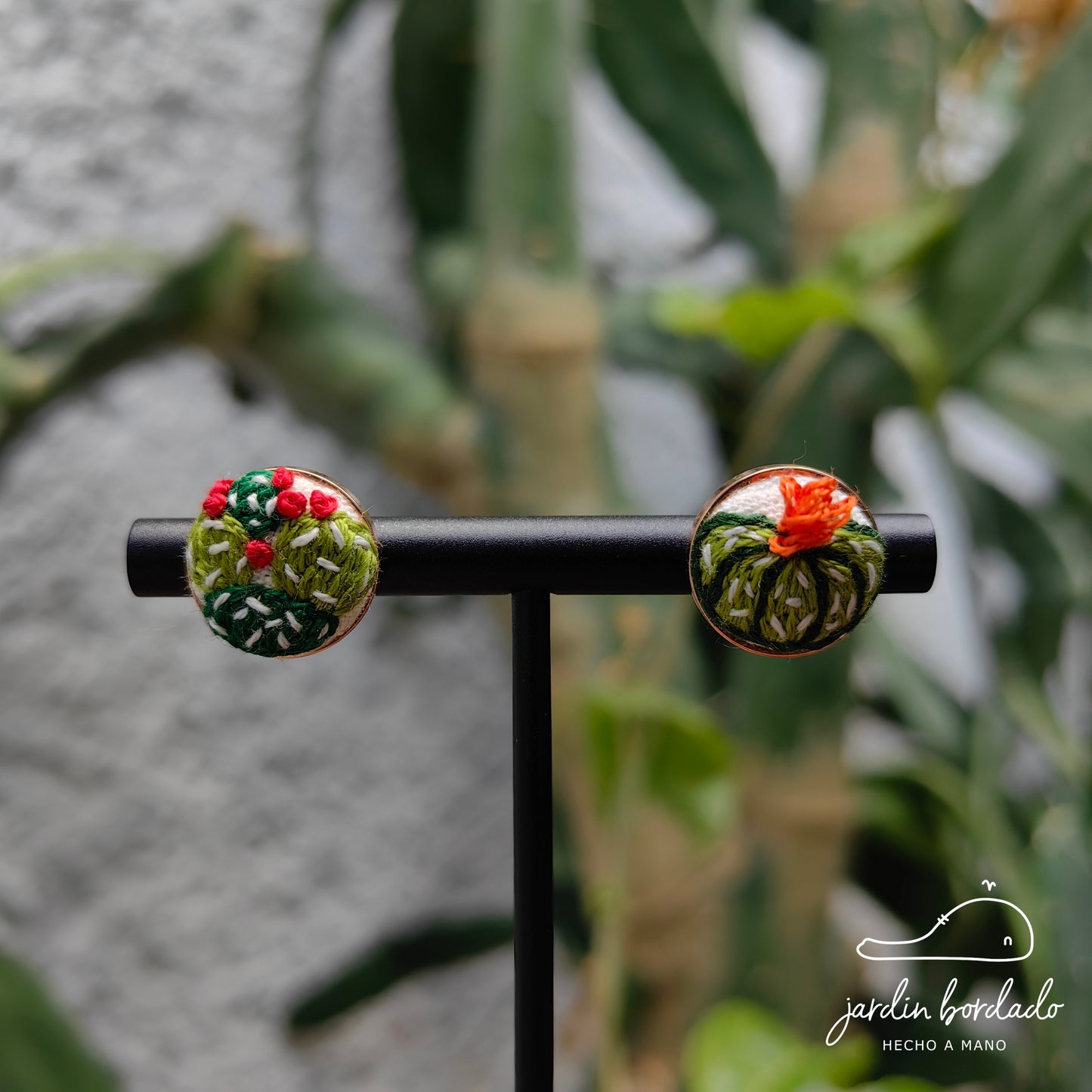 Aretes cactus